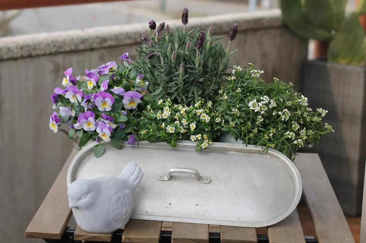 Bed & Breakfast Un Sogno B&B Marghera